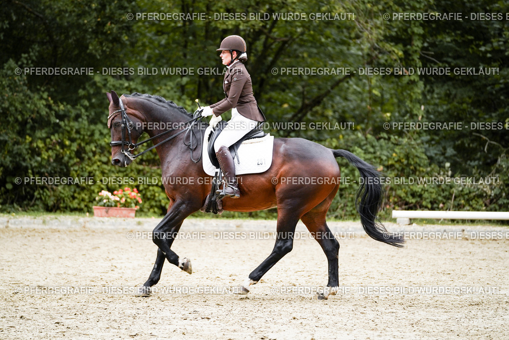 DSC01088 | Pferdegrafie