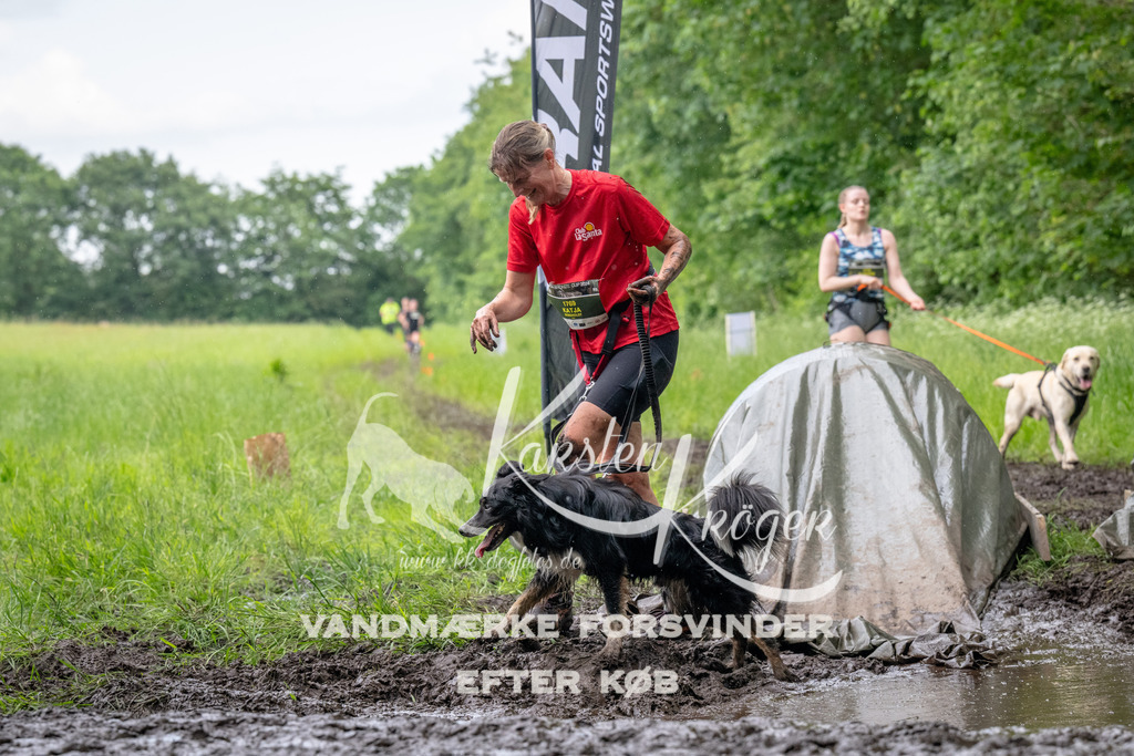 1618_ZZ93261 | kk-dogfotos