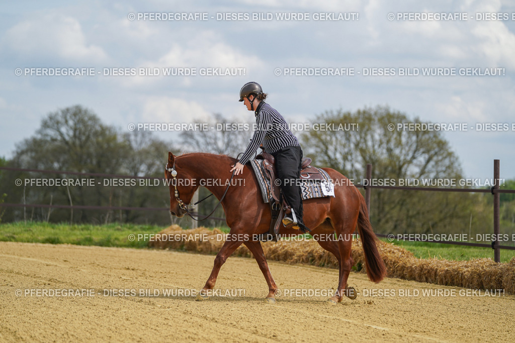 DSC05586 | Pferdegrafie