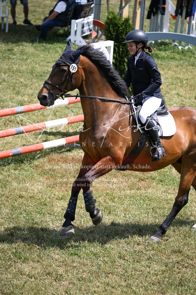 DSC_9767 | Pferde- und Turnierfotografie in Westsachsen. Pferdeportraits, Auftragszeichnungen und intuitive Kunst.
