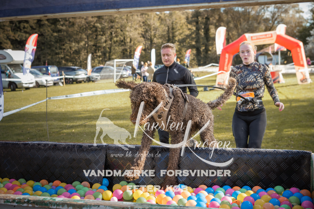 1316_ZZ99859-2 | kk-dogfotos