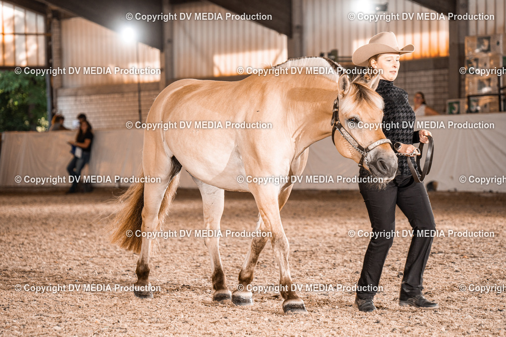 ZH100080 | dv-media-shop - Realisiert mit Pictrs.com