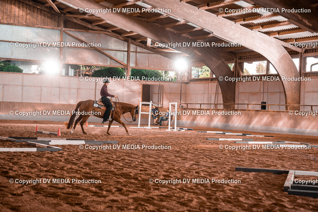 NE300102 | dv-media-shop - Realisiert mit Pictrs.com