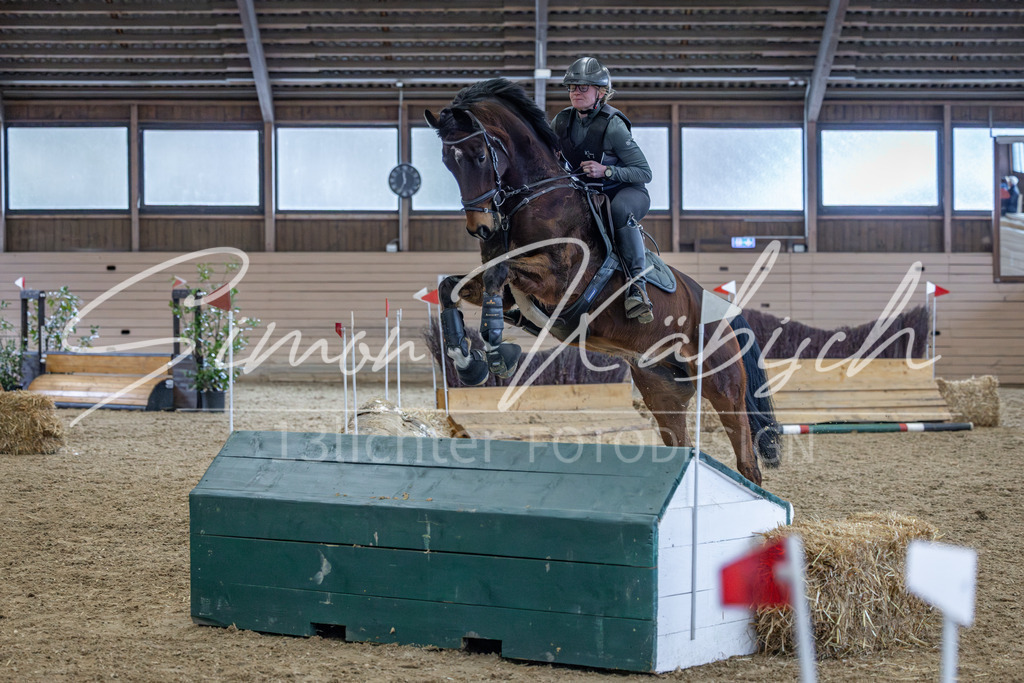 20260221-_3LI0076 | Tierfotografie Pferde, Hunde, Katzen, Haustiere.
Turnierfotografie Reitturniere, Reiten, Springreiten, Dressur in Hanau, dem Main-Kinzig-Kreis und dem Rhein-Main- Gebiet um Frankfurt