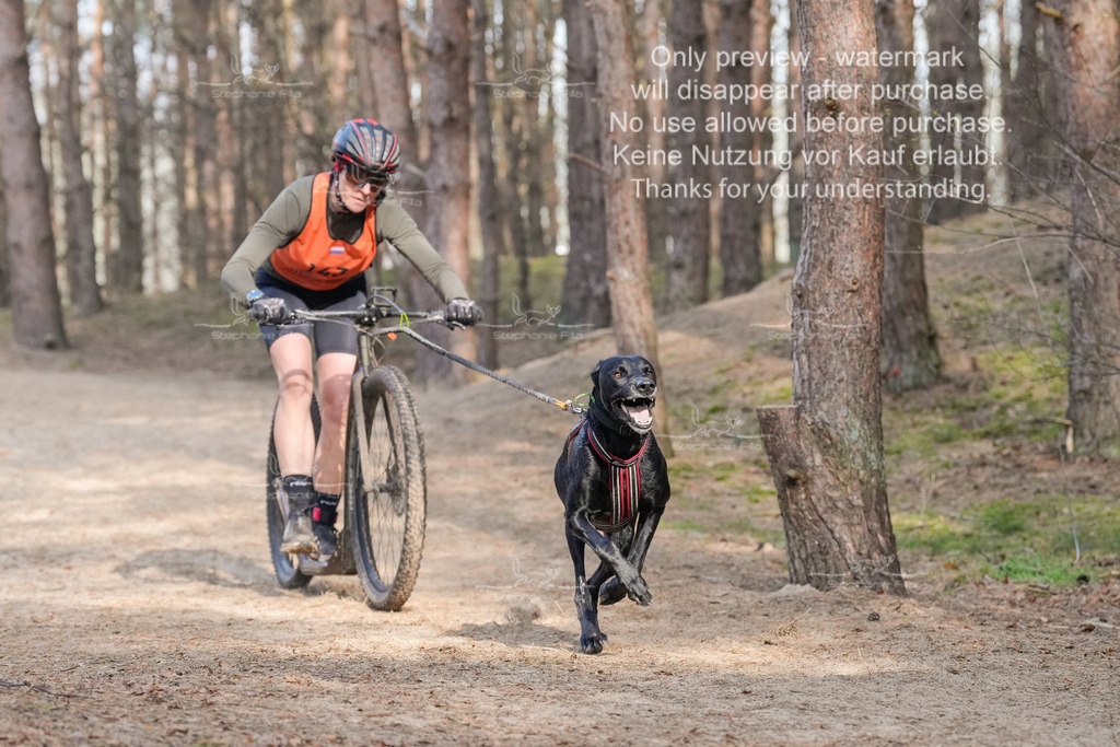 Scooter2-15 | stephaniefillaphotographie - Realisiert mit Pictrs.com