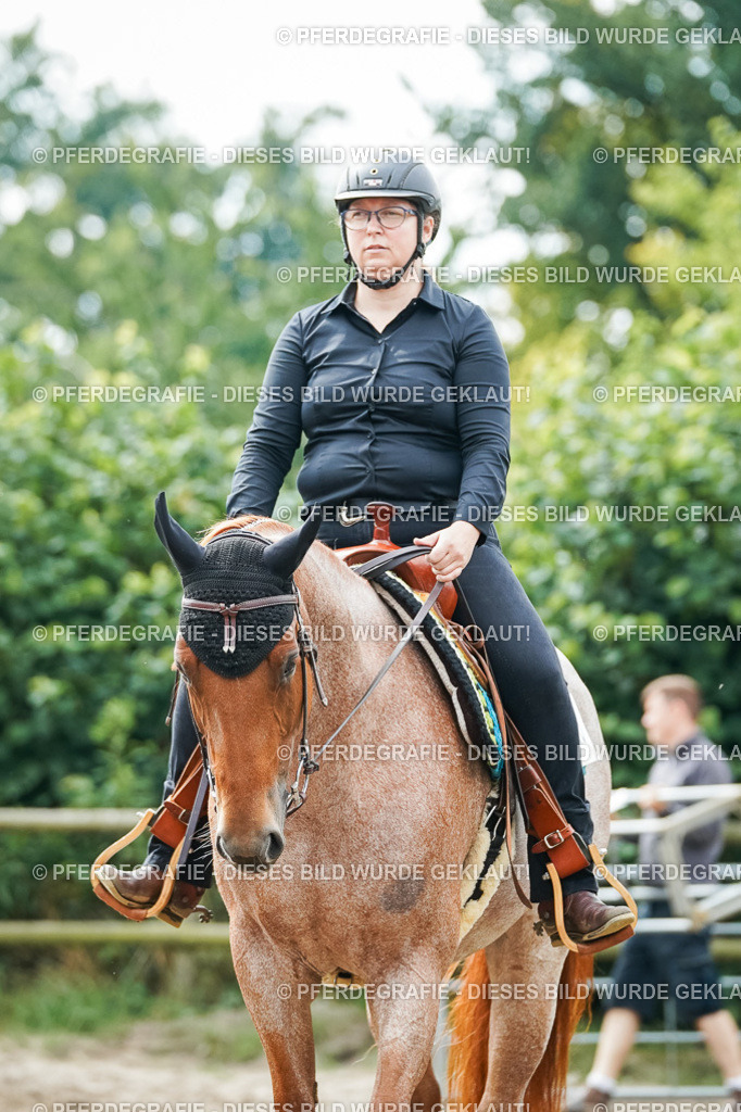 DSC04295 | Pferdegrafie