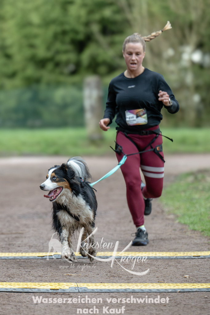 0847_ZZ99911 | kk-dogfotos