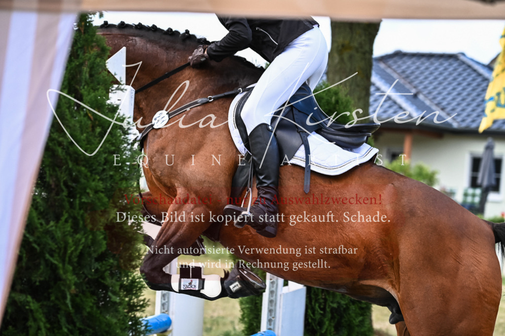 DSC_8066 | Pferde- und Turnierfotografie in Westsachsen. Pferdeportraits, Auftragszeichnungen und intuitive Kunst.