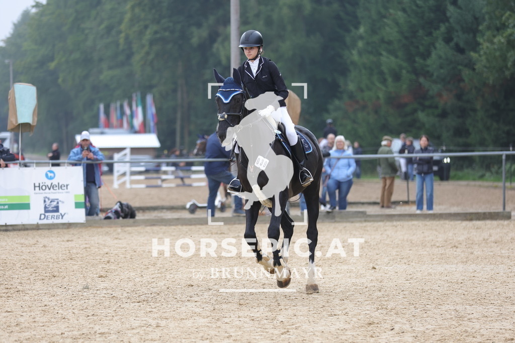 0P6A1157 | Willkommen bei Brunnmayr - Design & Fotografie – Ihrem Spezialisten für Reitturniere und Pferdeveranstaltungen in Oberösterreich, Salzburg und Bayern! Seit über 17 Jahren sind wir leidenschaftlich dabei.