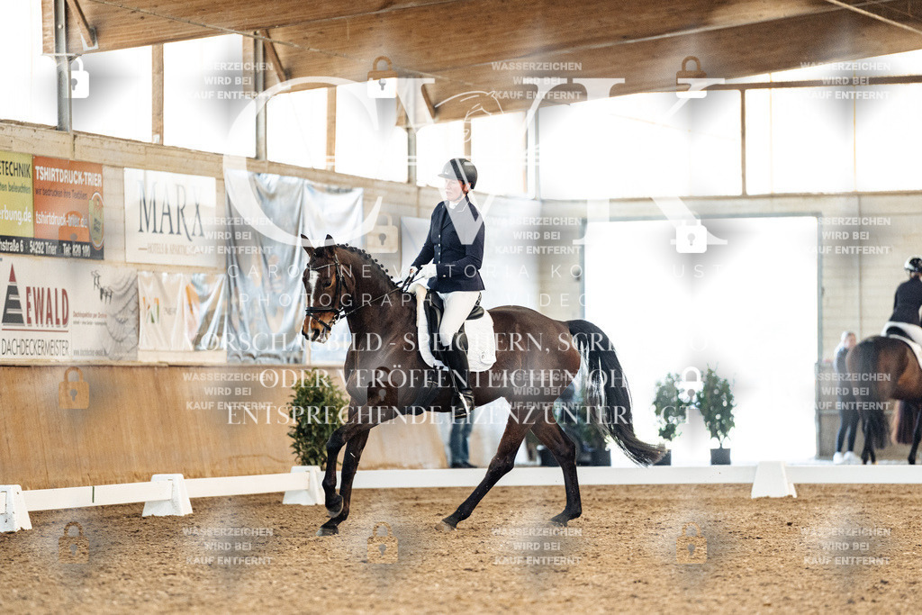CK909167 | Turnierfotografie Pferdefotografie Trier Rheinland-Pfalz Pferdesport Reitsport Tierfotografie Sportfotografie Pferdevideo Pferdevideografie Equestrianvideography equestrianphotography  - Realisiert mit Pictrs.com