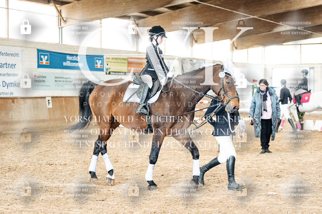 CK905890 | Turnierfotografie Pferdefotografie Trier Rheinland-Pfalz Pferdesport Reitsport Tierfotografie Sportfotografie Pferdevideo Pferdevideografie Equestrianvideography equestrianphotography  - Realisiert mit Pictrs.com