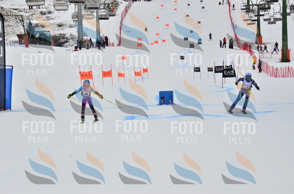 _ELE3625 | holidayphoto