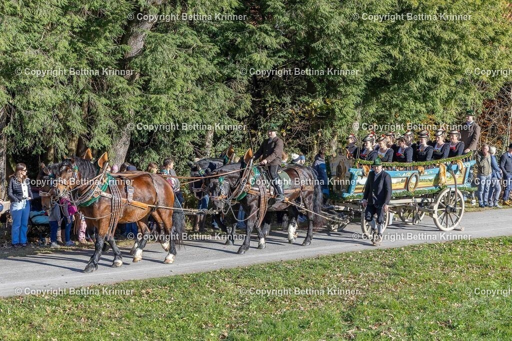 LBT25-295 | foto-bettina-krinner - Realisiert mit Pictrs.com
