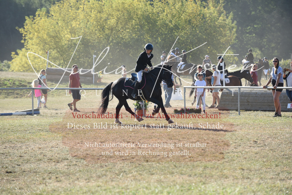 DSC_5748 | Pferde- und Turnierfotografie in Westsachsen. Pferdeportraits, Auftragszeichnungen und intuitive Kunst.
