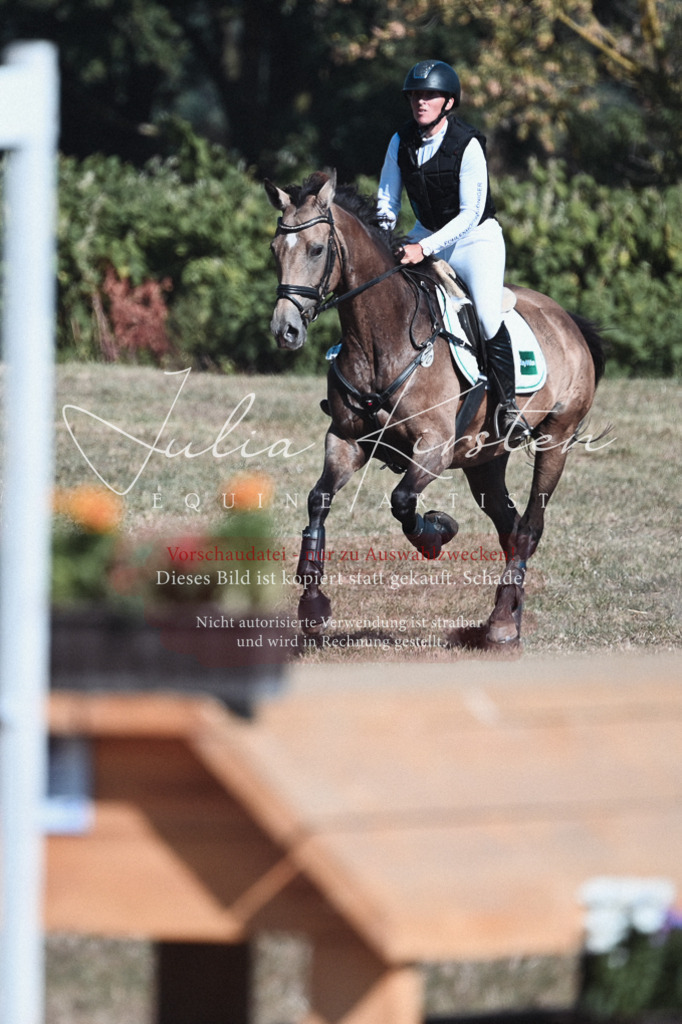 DSC_8693 | Pferde- und Turnierfotografie in Westsachsen. Pferdeportraits, Auftragszeichnungen und intuitive Kunst.