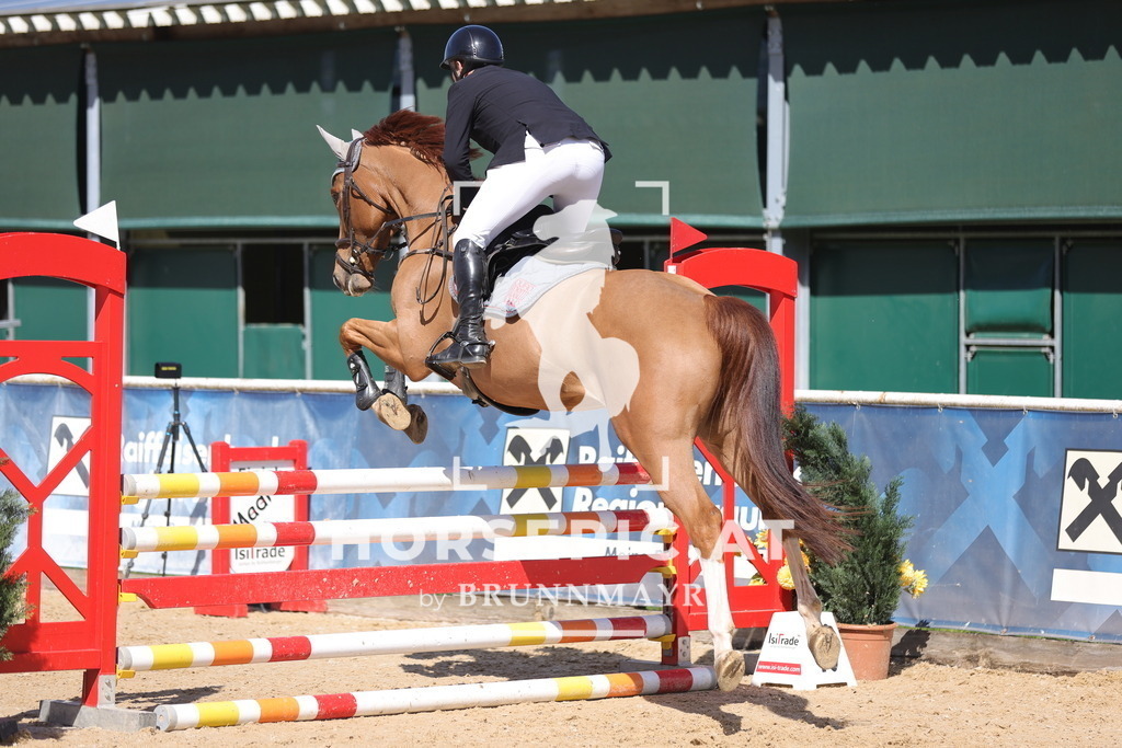 0P6A7627 | Willkommen bei Brunnmayr - Design & Fotografie – Ihrem Spezialisten für Reitturniere und Pferdeveranstaltungen in Oberösterreich, Salzburg und Bayern! Seit über 17 Jahren sind wir leidenschaftlich dabei.