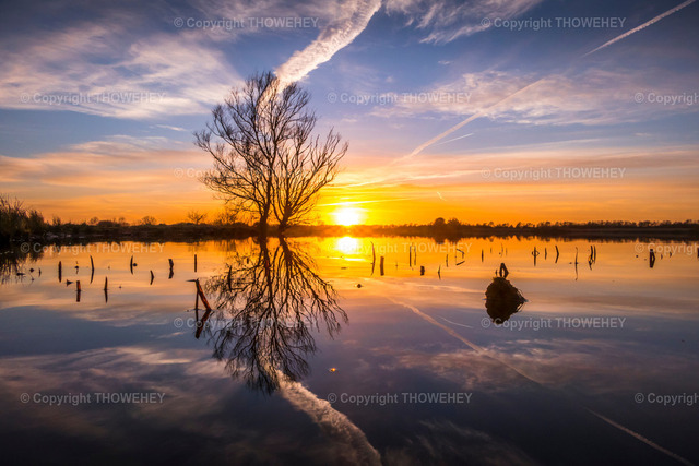 _2760281 | thowehey - Realized with Pictrs.com