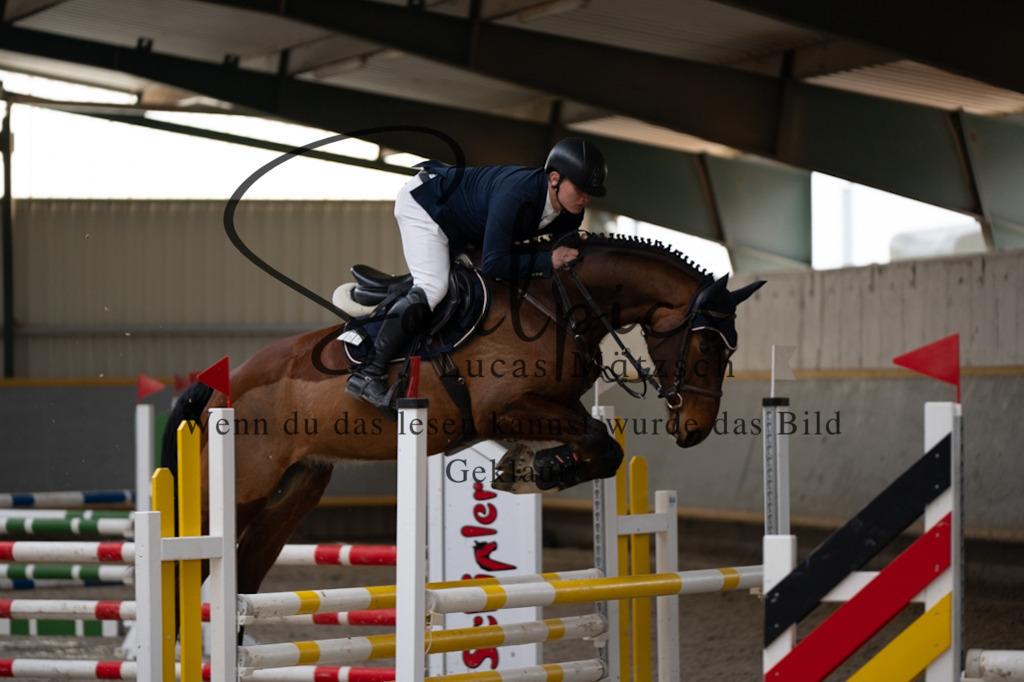 A7V08018 | Pferdefotograf