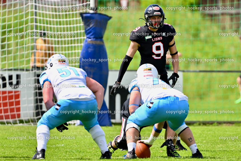 Carinthian Lions vs. Styrian Bears | Carinthian Lions vs. Styrian Bears, Carinthian Lions vs. Styrian Bears am 20.05.2024 in Klagenfurt (ASV Sportplatz), Austria, (Photo by Bernd Stefan)