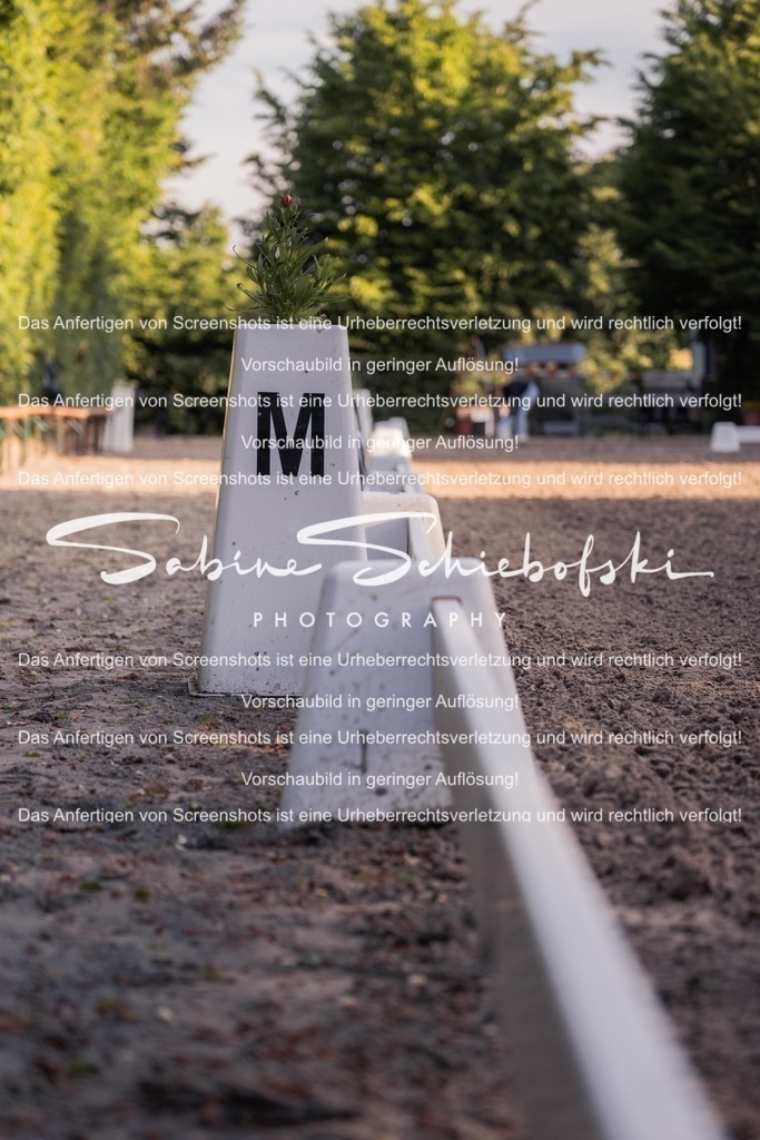 2025_05_31_DSCF2356 | People- und Tierfotografie, Imageaufnahmen, Veranstaltungsfotografie und Wandbilder aus der Natur ★ Made in Germany ✔️ Druck + Downloads ✔️ Naturfotografie in Top Qualität ★ schneller Versand, weltweite Lieferung! - Realisiert mit Pictrs.com