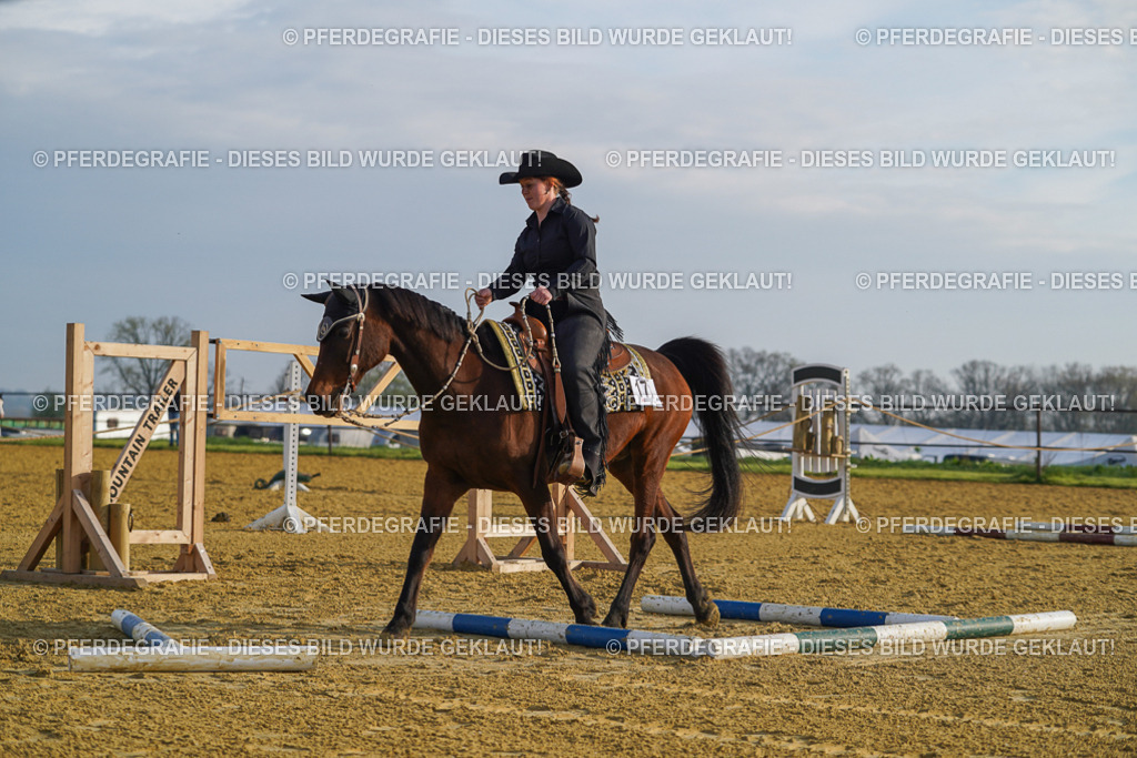 DSC00456 | Pferdegrafie