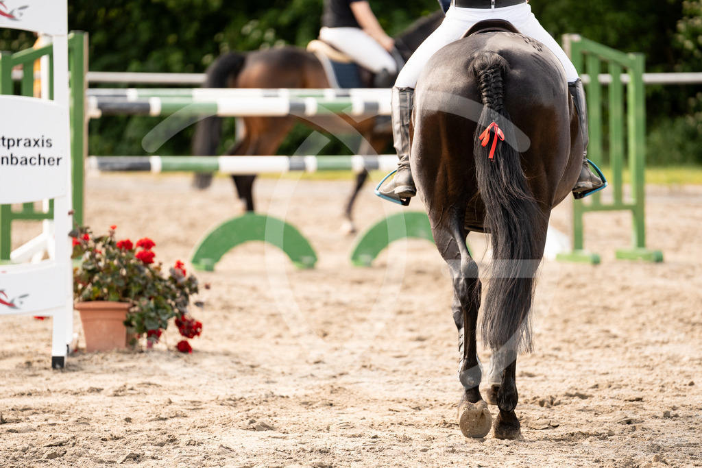 DSC03790 | Carolin Gieschke