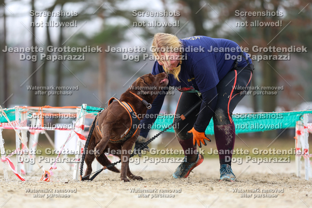 Dog Paparazzi - Strongdog North Mrz26-4021 | Dog Paparazzi Jeanette Grottendiek Fotografie & Videografie - Realisiert mit Pictrs.com