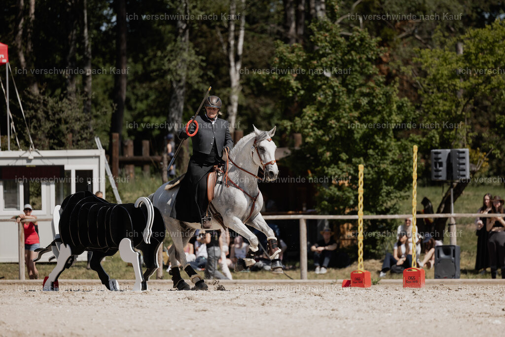 WE_SP_Stoib_321_PI2025_1583 | Pferd International München 2025