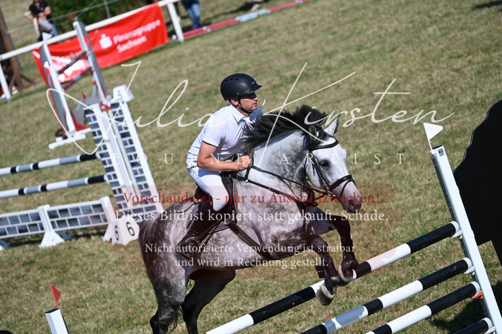 DSC_2233 | Pferde- und Turnierfotografie in Westsachsen. Pferdeportraits, Auftragszeichnungen und intuitive Kunst.