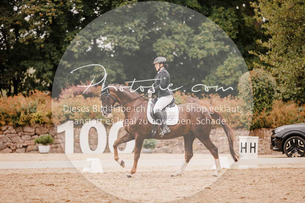 3I6A5878 | Stimmungsvolle Portraits und Reitsportfotografie im Ruhrgebiet und im Münsterland.

Pferdefotografie, Hundefotografie, Tierfotografie, Reportagen, Portraits von Tier und Mensch, Turnierfotografie in Bochum, Recklinghausen, Marl, Haltern am See, Dülmen.. - Realisiert mit Pictrs.com