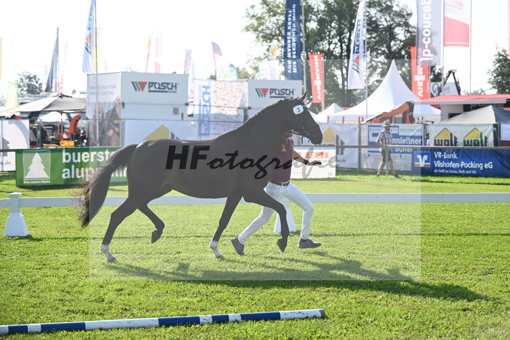 Kat-Nr. 3 Fleur_Hoffmann_34240030 | hf-fotografie - Realisiert mit Pictrs.com