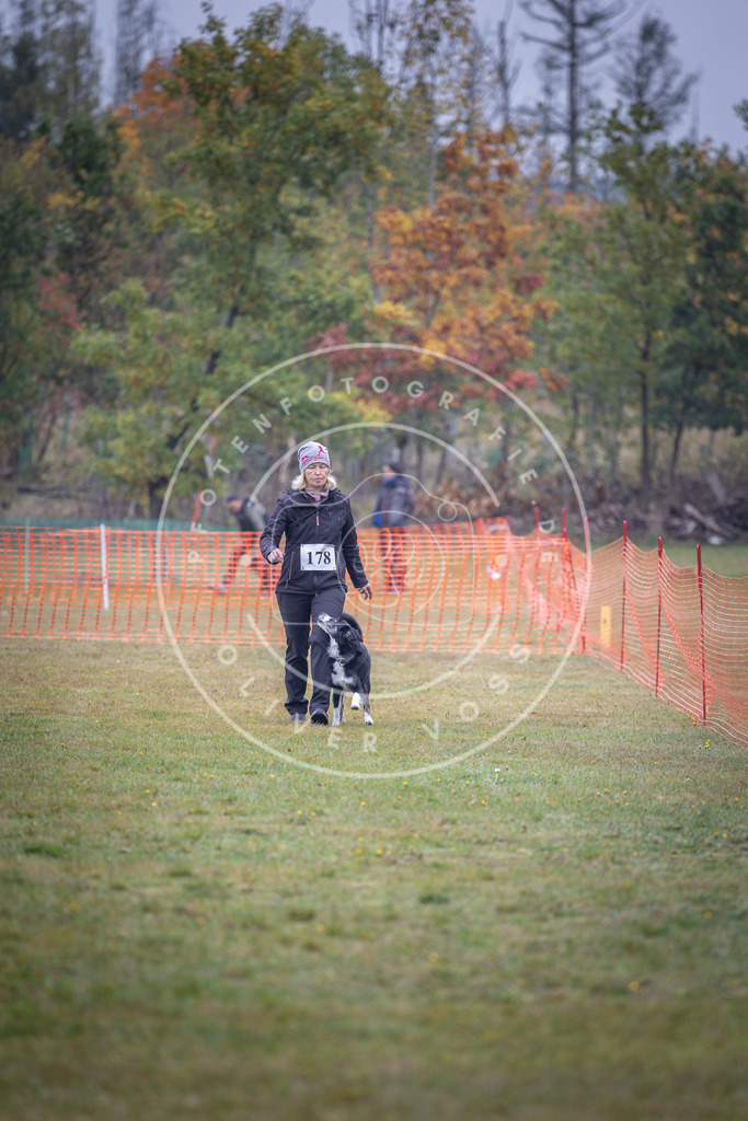 Pfotenfotografie_DV3A9460 | Hundefotografie, Tierfotograf, Pfotenfotografie, Fotoshooting Hund, Hunde Portrait, Hundesport, Hundeportraits, Heideshooting, Hunde, Sportfotograf, Hundefotograf, Turnierhundsport, THS,  - Realisiert mit Pictrs.com