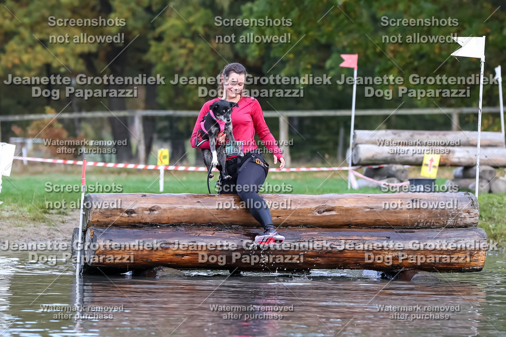 Dog Paparazzi - Strongdog 10-25-6811 | Dog Paparazzi Jeanette Grottendiek Fotografie & Videografie - Realisiert mit Pictrs.com