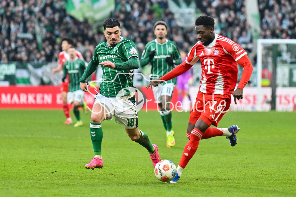 SV Werder Bremen - FC Bayern München | BREMEN, GERMANY - 14. FEBRUARY: im Duell Cameron PUERTAS CASTRO (SV Werder Bremen 18) und Alphonso DAVIES (FC Bayern Munich 19) während dem Bundesligamatch zwischen dem SV Werder Bremen und dem FC Bayern München am 22. Spieltag im Weserstadion / DFL REGULATIONS PROHIBIT ANY USE OF PHOTOGRAPHS AS IMAGE SEQUENCES AND/OR QUASI-VIDEO