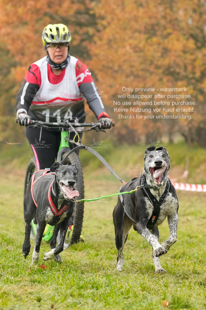 AusschnitteSa-200 | stephaniefillaphotographie - Realisiert mit Pictrs.com