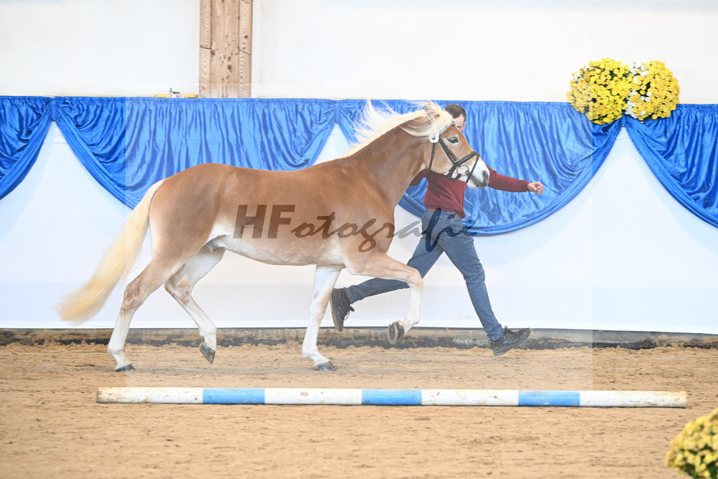 Kat-Nr. 3 Avalanche v. Ace of Hearts_Anger_48250810 | hf-fotografie - Realisiert mit Pictrs.com