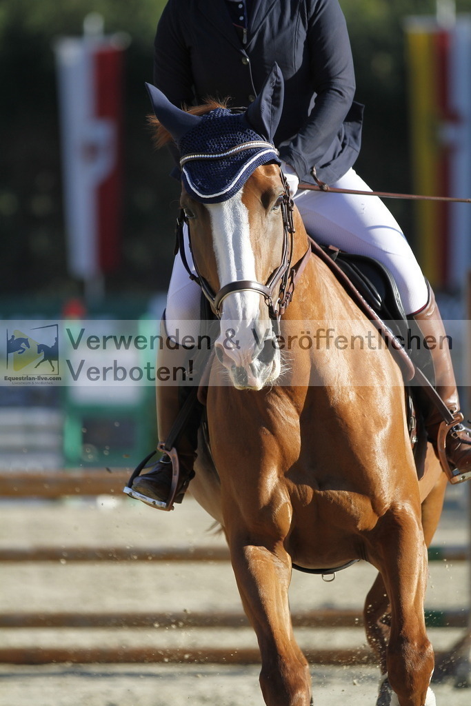 _MG_1217 | equestrian-live-com
