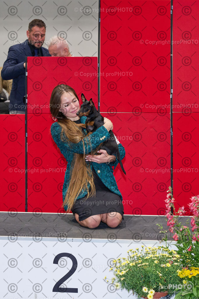 202406_ÖKV-IHA-Tulln24_NZ9_9453 | proPHOTO - Realisiert mit Pictrs.com