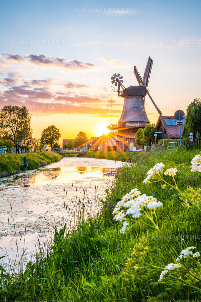 _1036503 | thowehey - Realisiert mit Pictrs.com