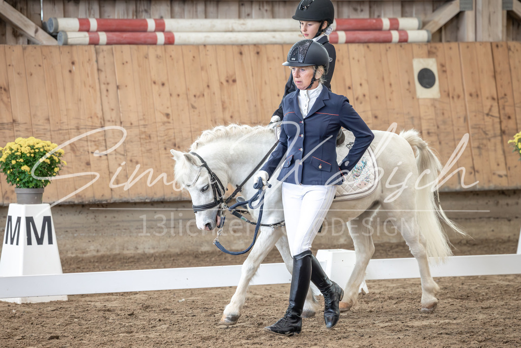 20251011-_3LI8654 | Tierfotografie Pferde, Hunde, Katzen, Haustiere.
Turnierfotografie Reitturniere, Reiten, Springreiten, Dressur in Hanau, dem Main-Kinzig-Kreis und dem Rhein-Main- Gebiet um Frankfurt
