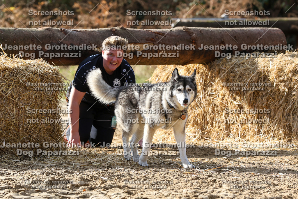 Dog Paparazzi - Strongdog 10-25-5886 | Dog Paparazzi Jeanette Grottendiek Fotografie & Videografie - Realisiert mit Pictrs.com