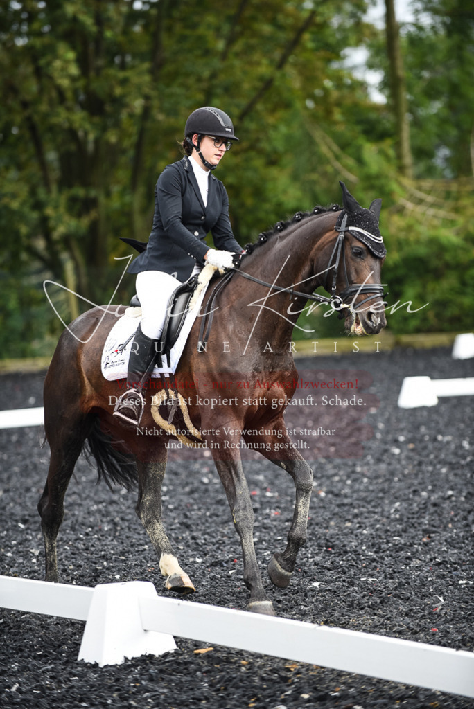 DSC_3010 | Pferde- und Turnierfotografie in Westsachsen. Pferdeportraits, Auftragszeichnungen und intuitive Kunst.