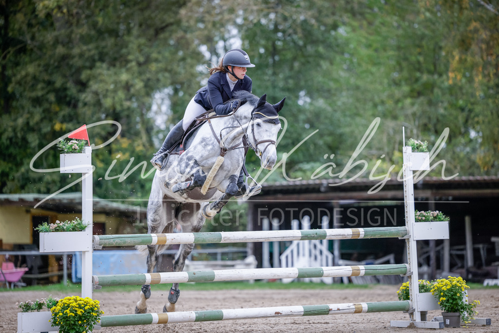20251012-_3LI5034 | Tierfotografie Pferde, Hunde, Katzen, Haustiere.
Turnierfotografie Reitturniere, Reiten, Springreiten, Dressur in Hanau, dem Main-Kinzig-Kreis und dem Rhein-Main- Gebiet um Frankfurt