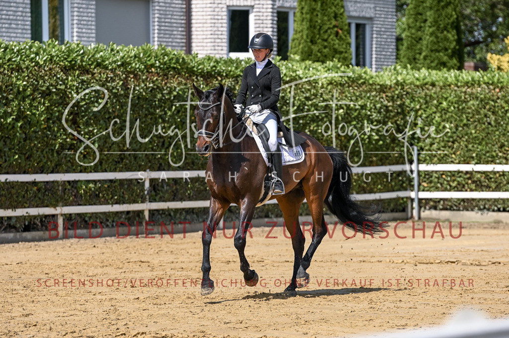 Schugtsche-Aluta25-58. Dressurprf.S1Kand.St.GeorgSpecial-126 | Schugtsche Fotografie - Realisiert mit Pictrs.com