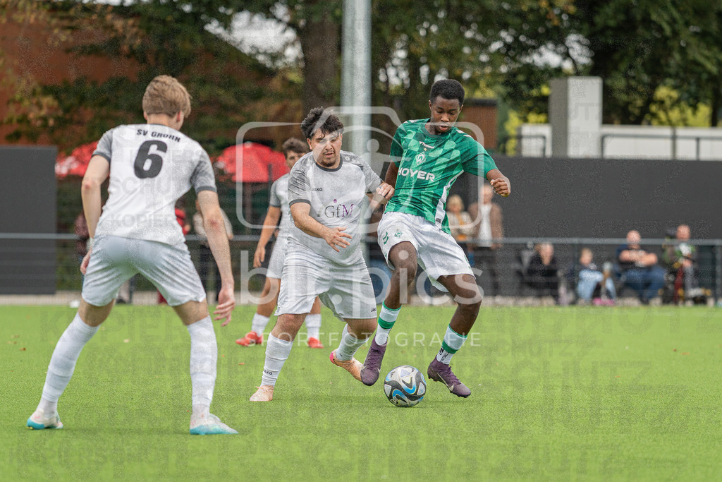 SV Werder Bremen - SV Grohn | SV Werder Bremen - SV Grohn