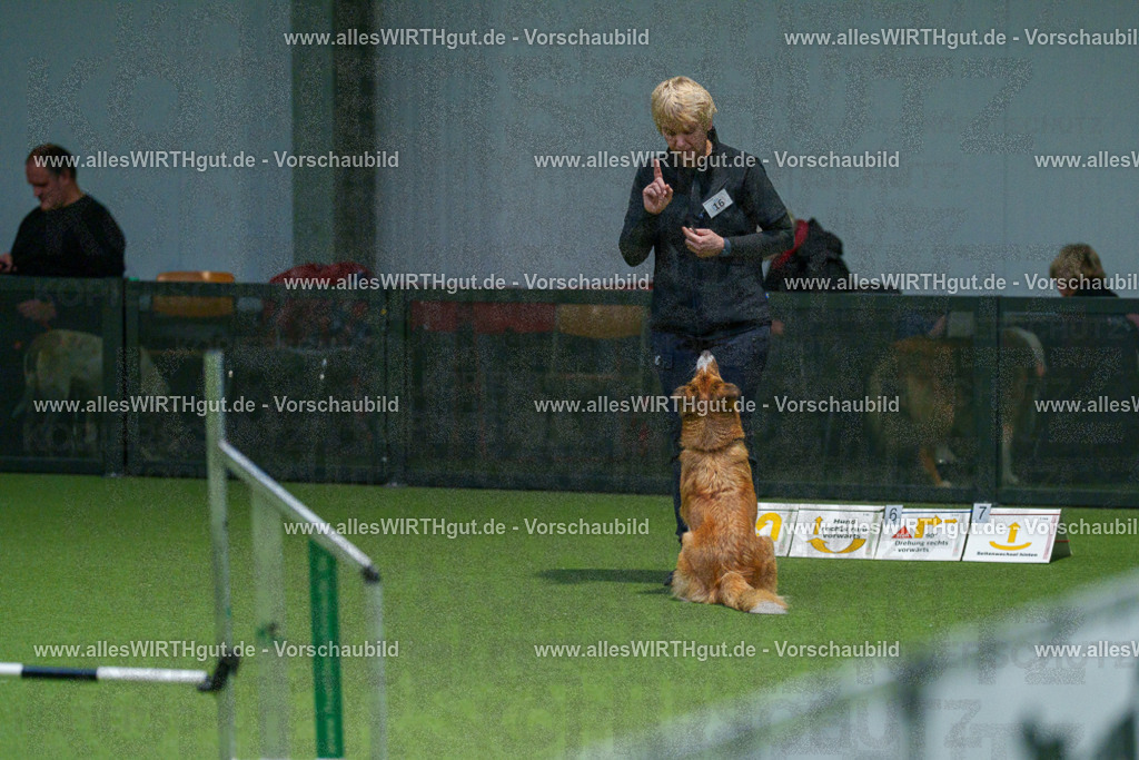 7R505458 | Professionelle Tierfotografie in Mönchengladbach von Daniel Wirth (allesWIRTHgut). Liebevolle & natürliche Bilder von Hunden & Katzen für unvergessliche Erinnerungen.