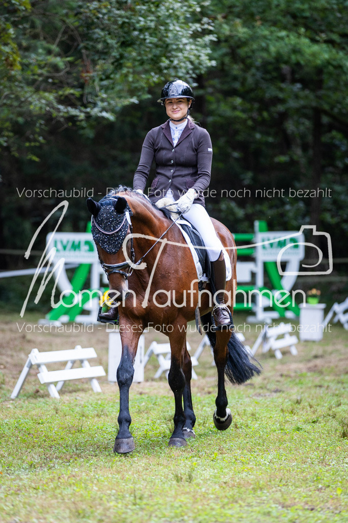 HB-A-Dressur-002 | MomenTaufnahmen Pferdesportfotos