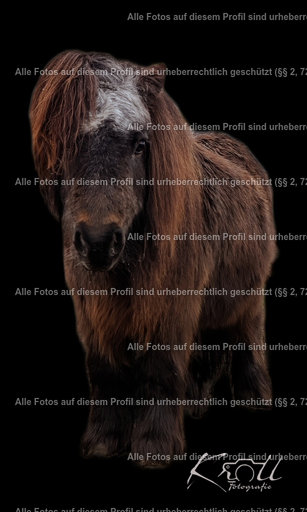 Photo_1740830081238 | krollfotografie - Realisiert mit Pictrs.com