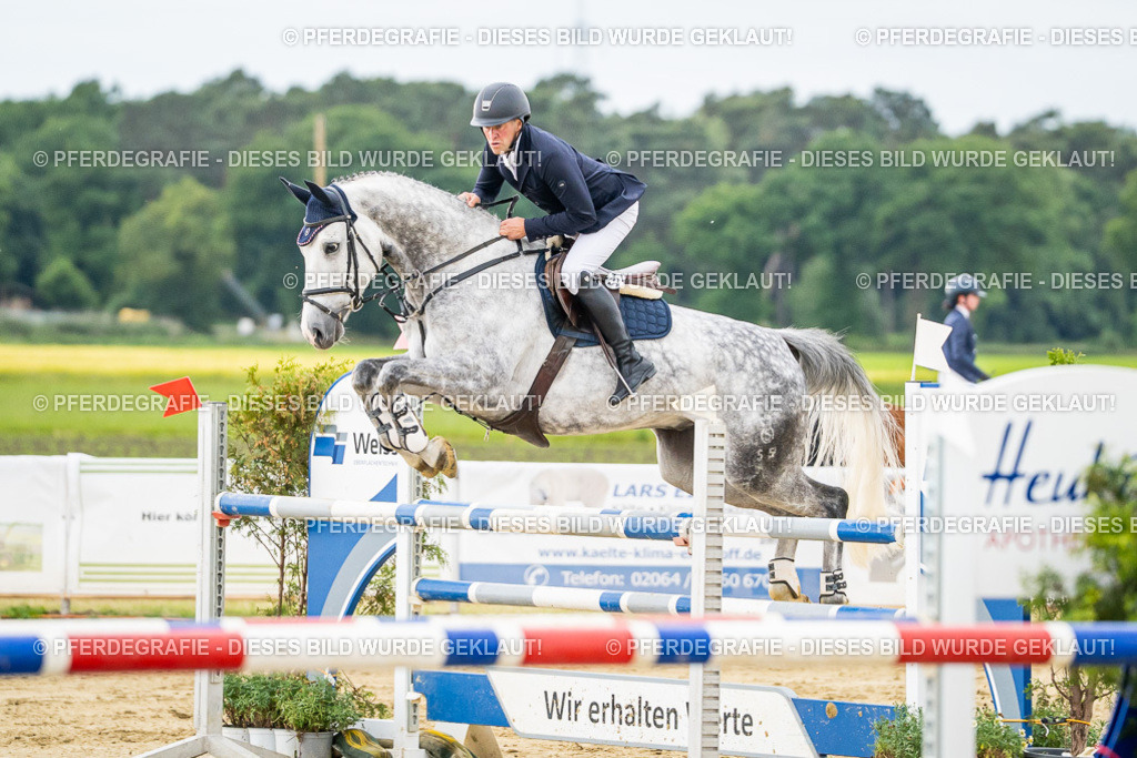 DSC06861 | Pferdegrafie