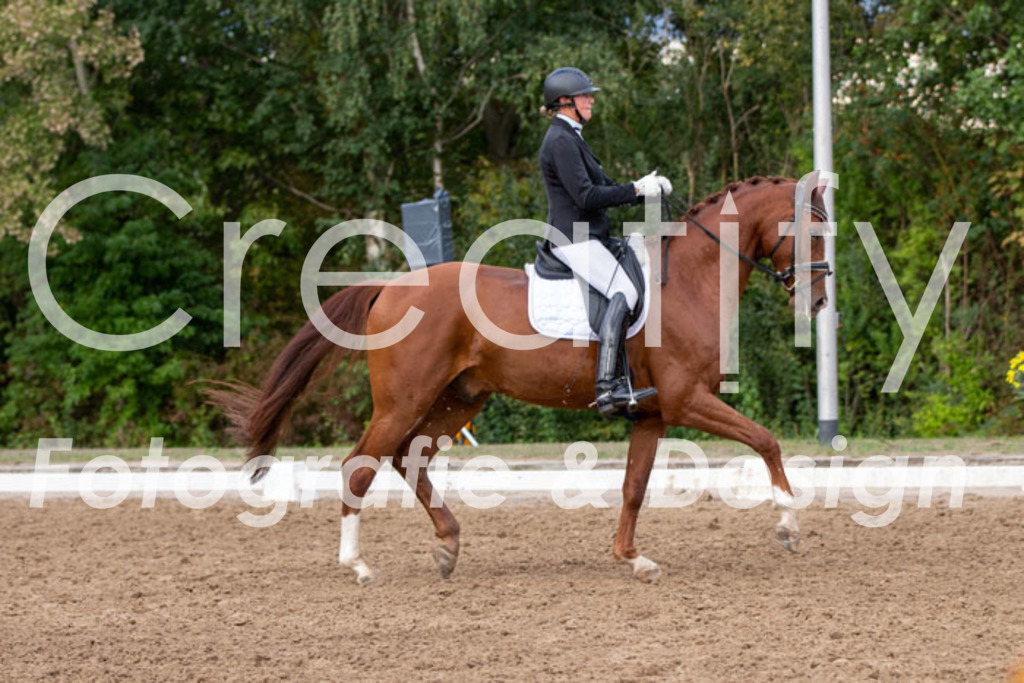 IMG_5028 | Creatify Fotografie